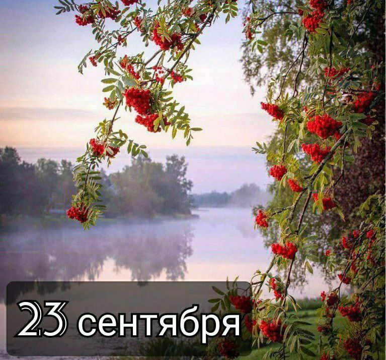 � ������ �����. �����������, �������� � �� ����� ���? ����� ����� ����������� ��� - ������� �������