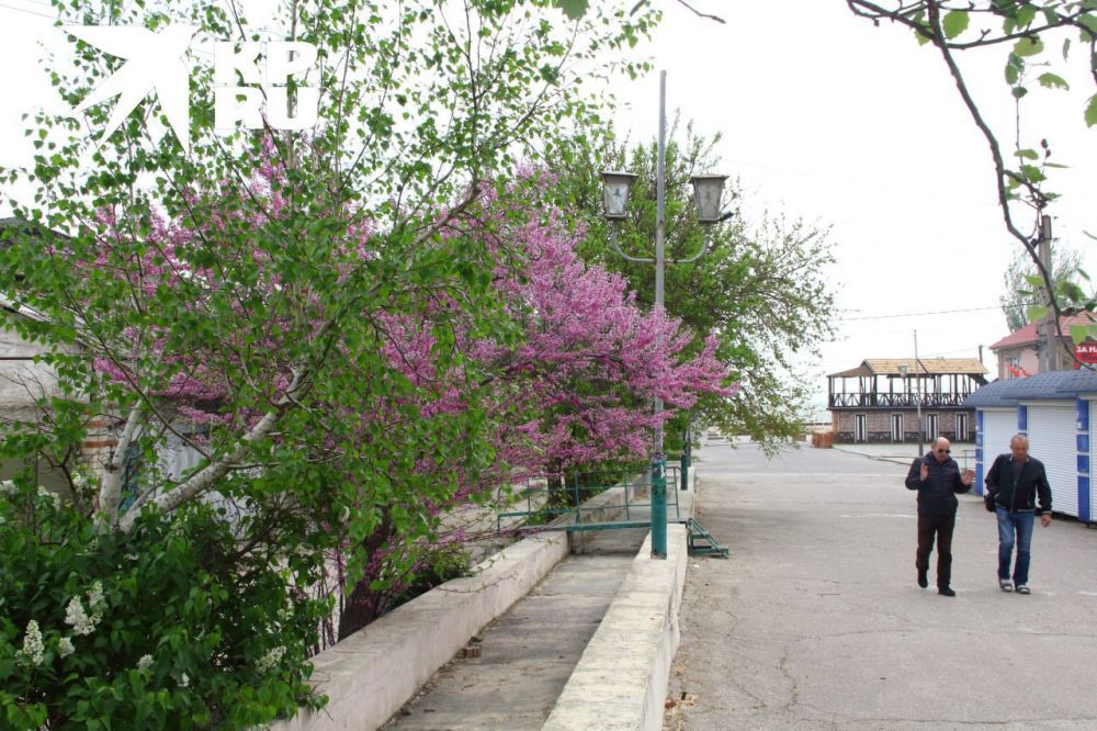 � ���������� ������� 24 �������� ����� ������