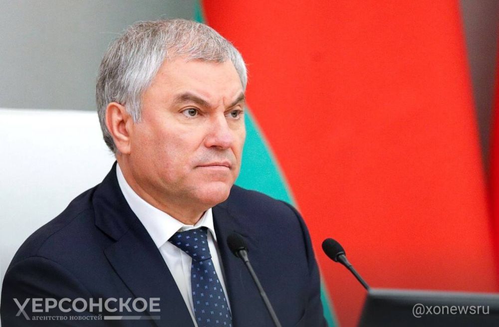 Володин рассказал о крупных штрафах за пропаганду бездетности