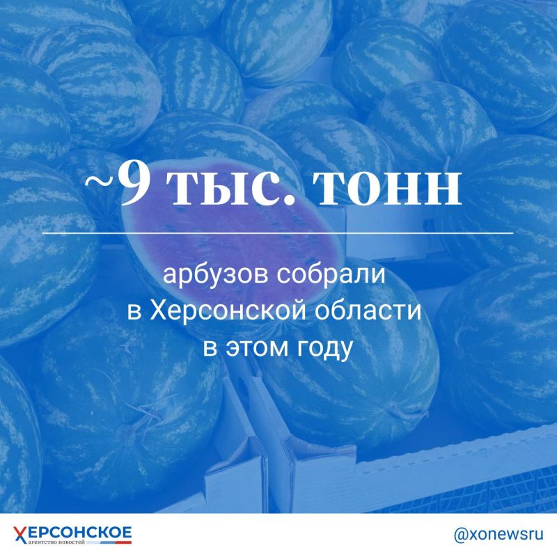 ��� ������� ������� ����������� ��������� �������� ���������� �������� ������, � ���������� ������� ���� ������ �������� � ������� �� 95%