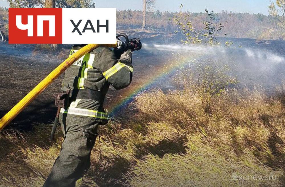 � ���������� ������� �� ����� ������������� 10 �������