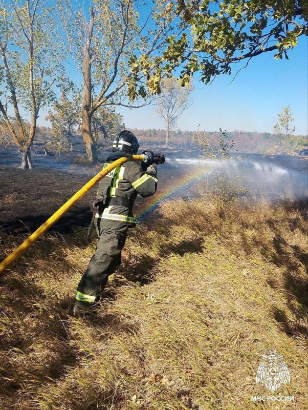 ����������� ���������� �� 23 �������� �� ���������� ���������� �������