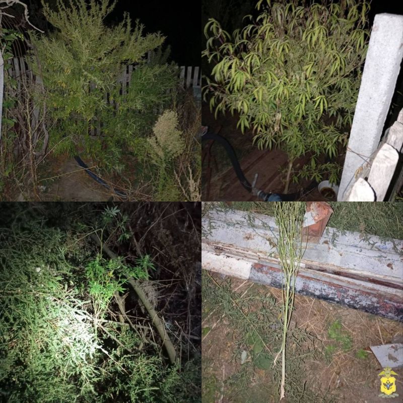 ������ ��������� �������� 10 ������ ������� ��� ������������ ��������� � ����� �������� ������ � ����������� ���������� ����