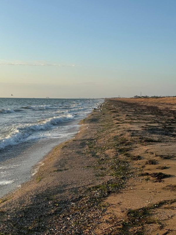 ����� ��������: ����������� �������� ��������