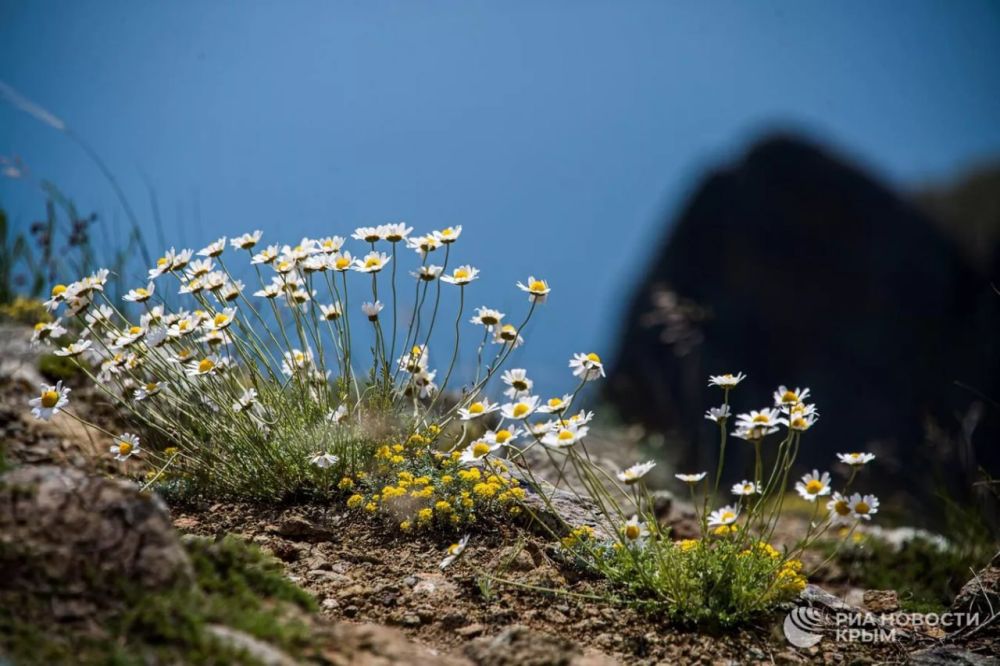 ������ �� ����� ����������� ������