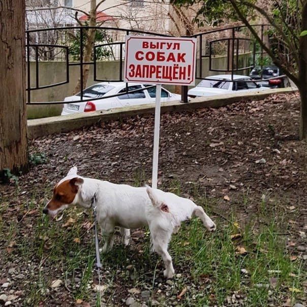 � ������� ������ ������������, ���������� �� ����������� ��� ��������� ��� ���������� �������� ��������, ������� �� ��������� ������� ������