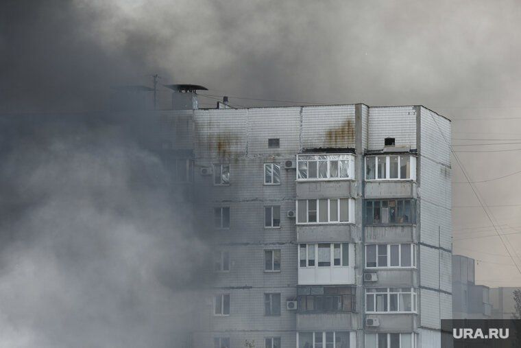 ���� �� �������: ��� ���������� �������� ����������� �������������� ����������� ���������� �������