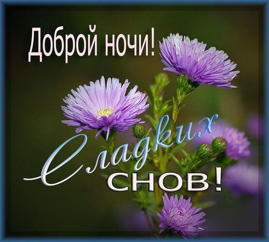 ��������� ������ � ������ ����, ������!