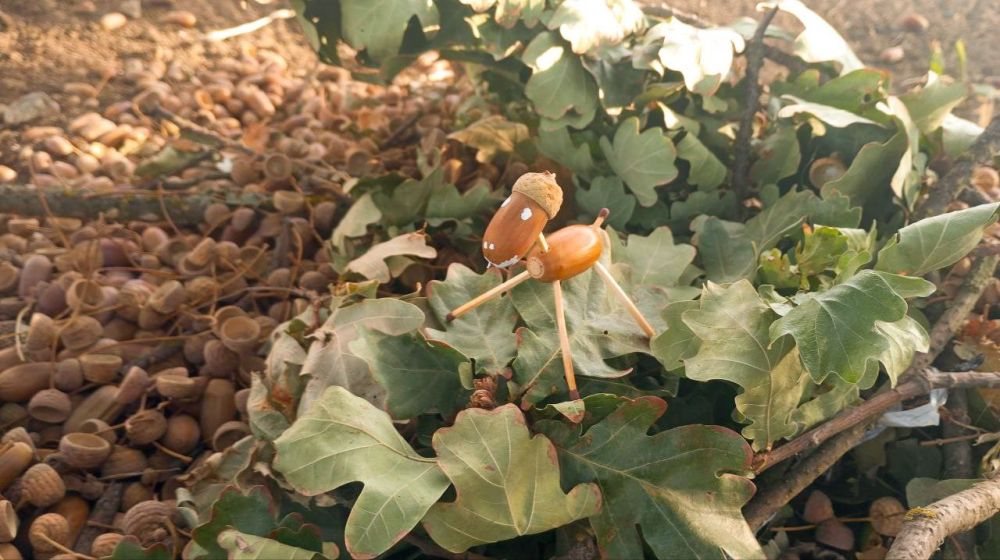 ��� � ����� ������. ����� ���������. � ������ ������� �����!