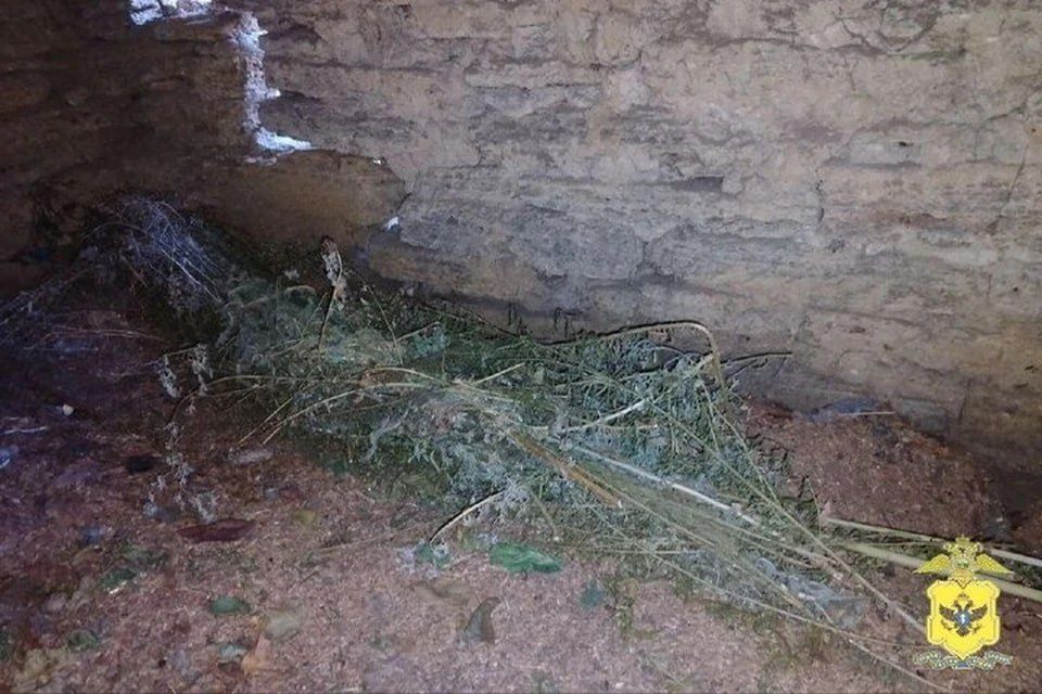 ������ ���������������� ������ ������ ��������� �������