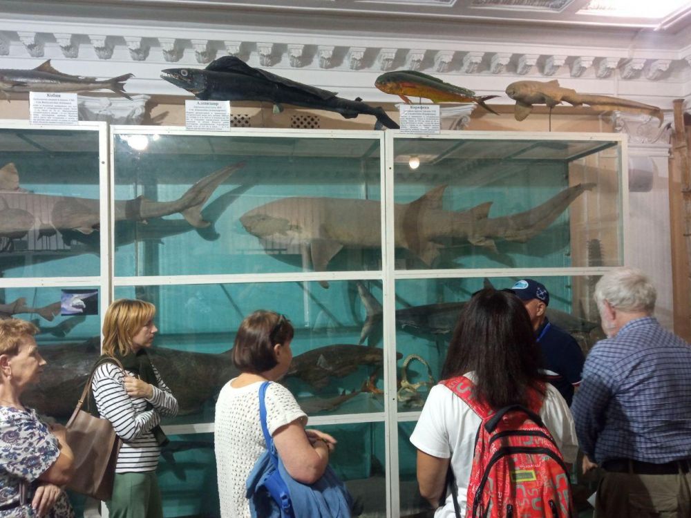 IV ������������� ������-������������ ����������� �������������� ������������