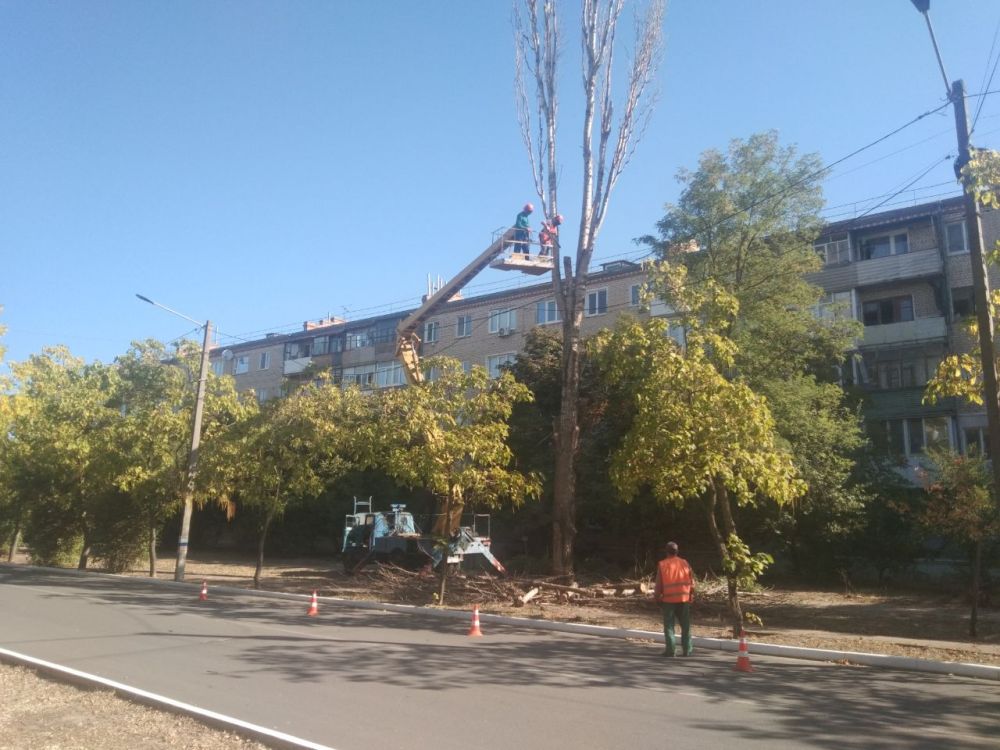 � ������������� ��������� ������ �������� ������ �� ���������������