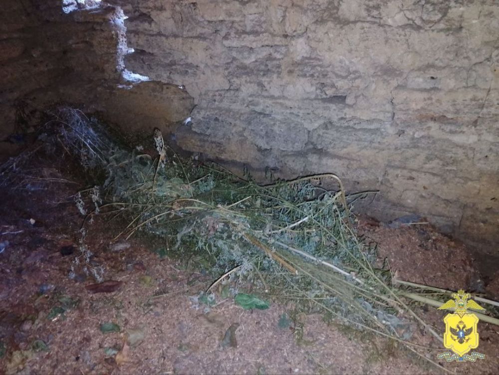 � ���������� ������� ����������� ������� ���� ����������� ��������������� ������� ������� ���������������� ������