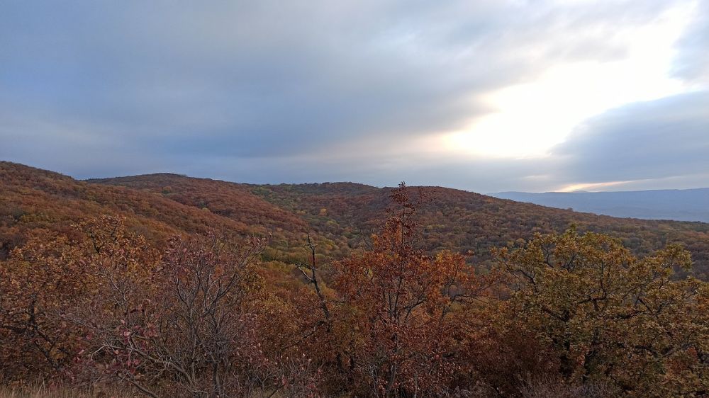 � ����� ��������� 173 �����