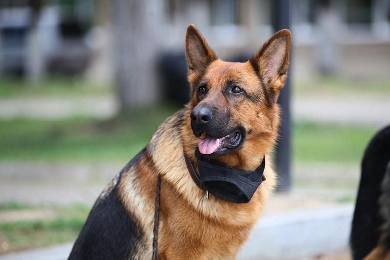 �� ����� ����� ��� ���������� � ������� ������ ����� ���������� �� ����� �� 10 ����� ������