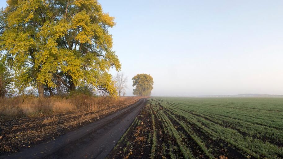 ������: � ���������� ������� �������� ����� ������� ������ � ��������� ����