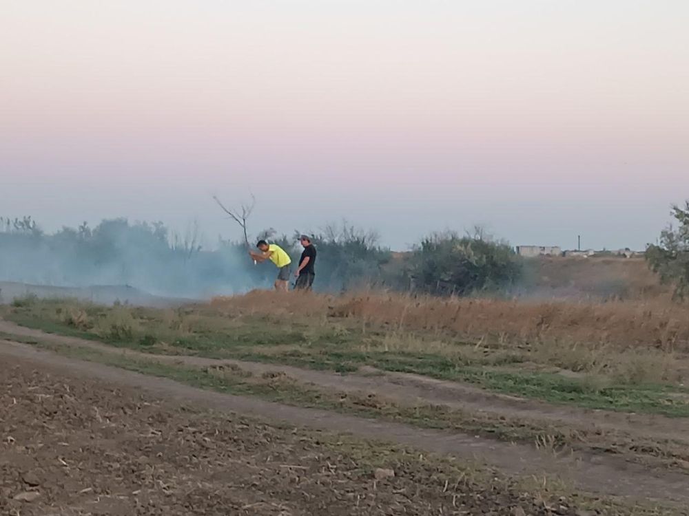 ������ �������� �������� ������ ������ �������� �����