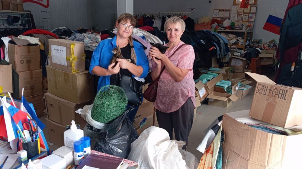 ��������� ������������ ������������ � ����� #�������� � ���������� �������