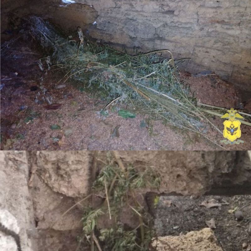 ��������������� ���������� � ������ ������������ ��������� ������ ������� � �������� ������ � ����������� ���������� ����