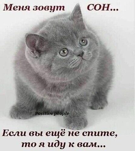 �������... ����� ���� �������� ��� ��������