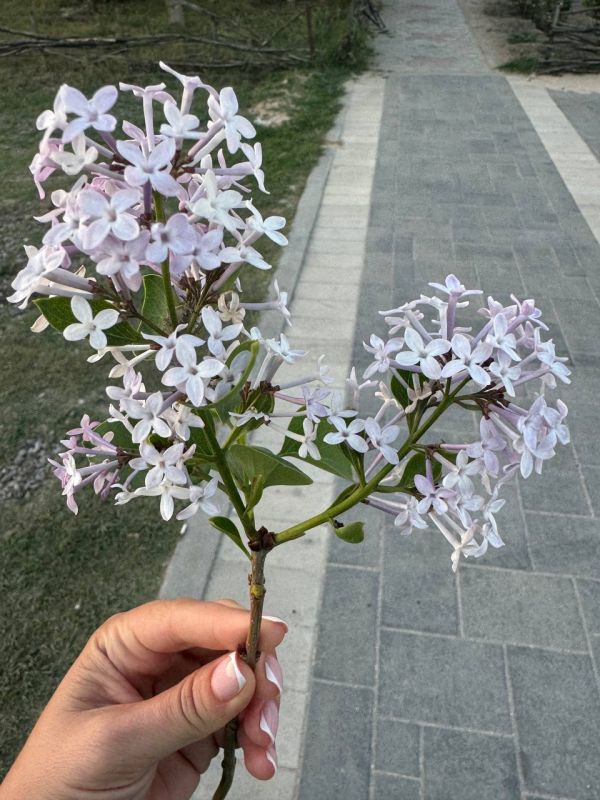 ������� � ����������