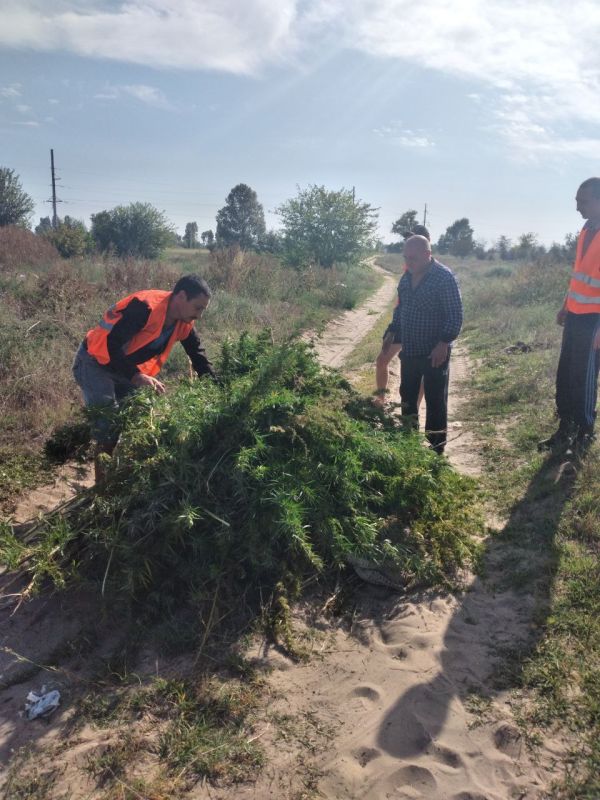 ����������� ������������� ����������� � �� � ������������, �. ���� ���� ������� ���� �� ����������� ��������������� �������� (������������ �������)