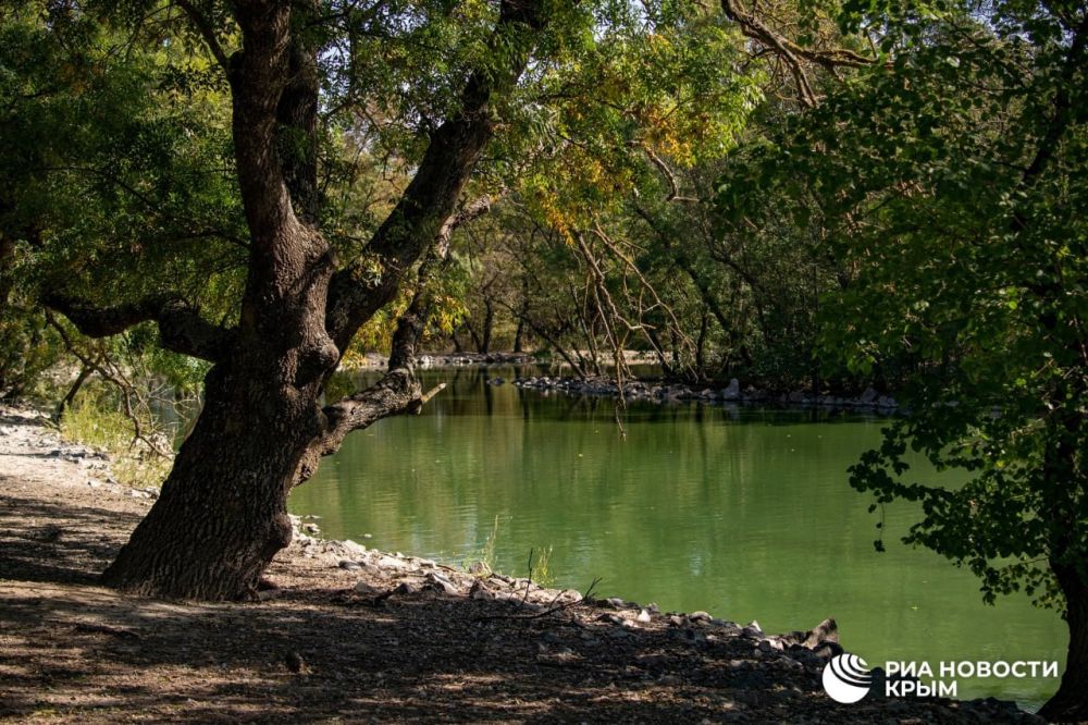 ���������� "�������-����" � ���������� ������� ������ � � ��������� ��� ������� ����