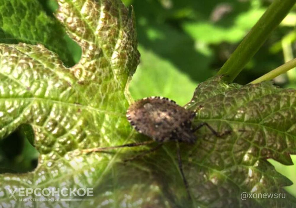 � ���������� ������� ����� ����� ����������� ���� �� ����������� ���������� �����