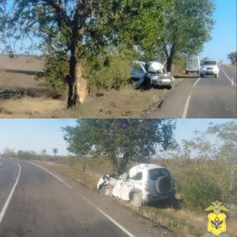 � ���������������� ������ ������� �� ��������� � ����������� � ����� � ���������� ���