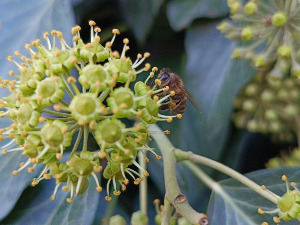 � ������ �����, �����������!