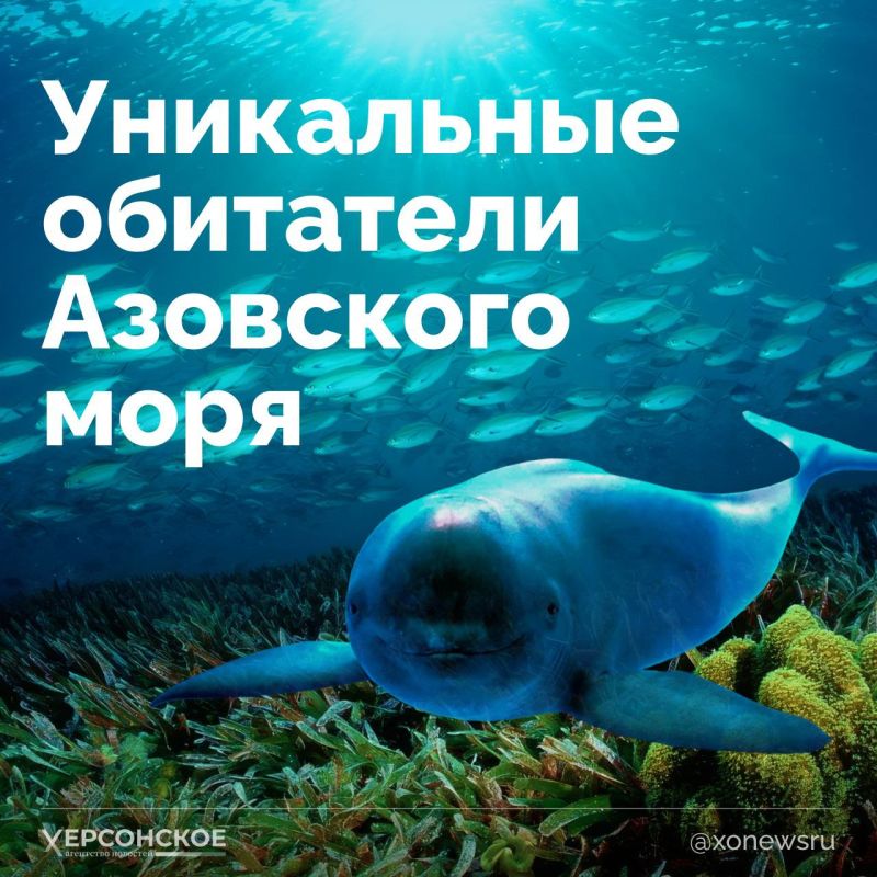 26 �������� ���������� ��������� ���� ����!