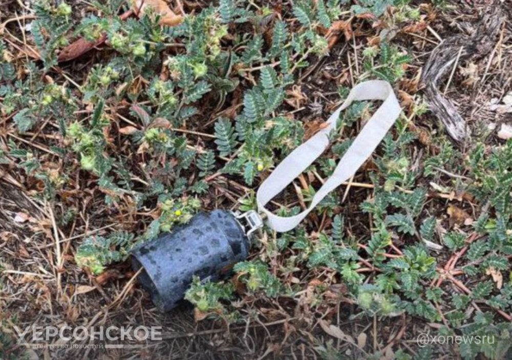 � ������� � ��������� ������ ����������� ������������� ��������