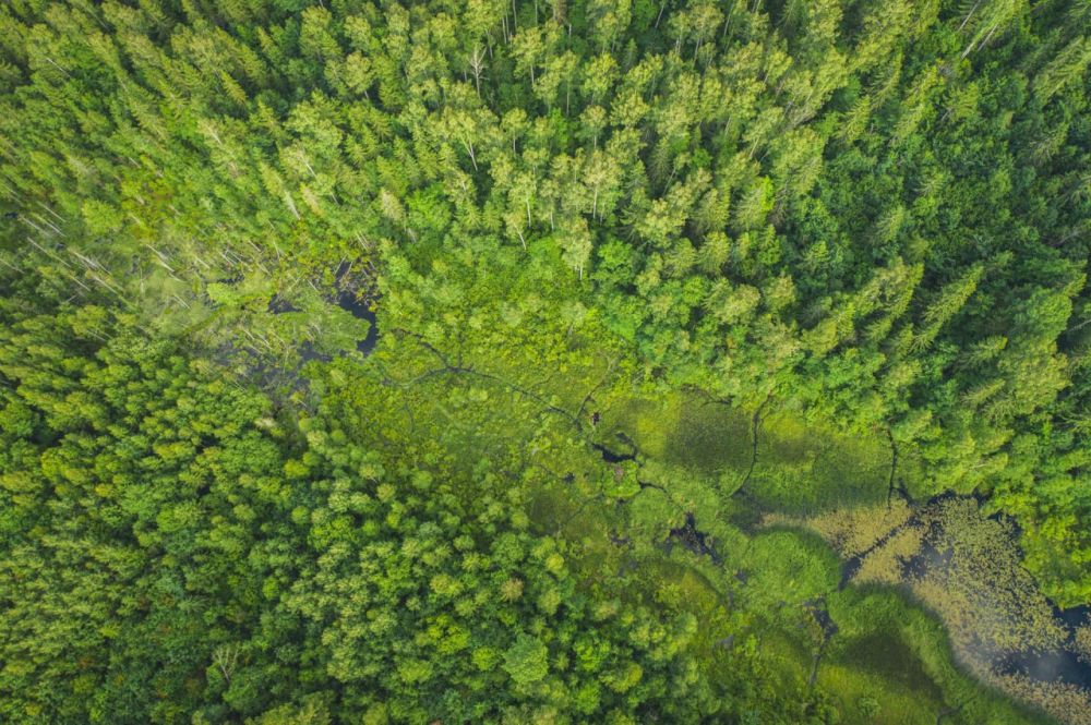 �� ��� ���������� ������� ����������� ������� �������� ���������