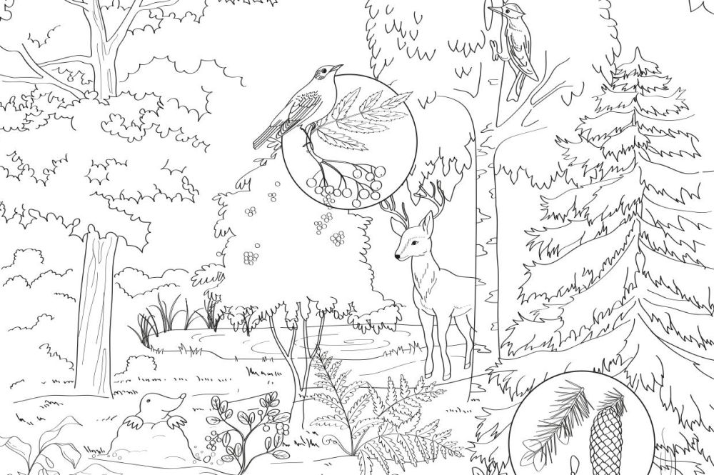 ������ �� ���, ���, ���������� � ����������� �������� ����� �������� ���� �� �������������