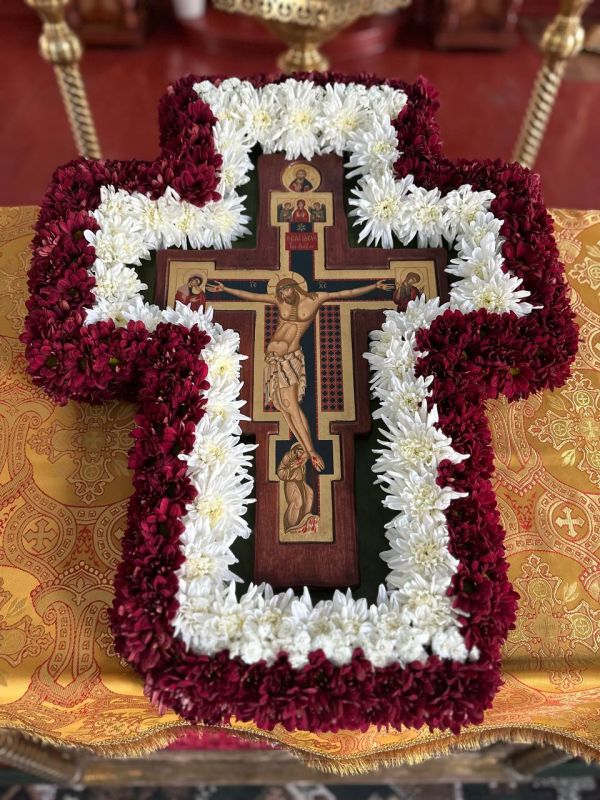 � ���������� ���������� ����������� �������� � ������������� ������ ��������, ������� ������ � ������!