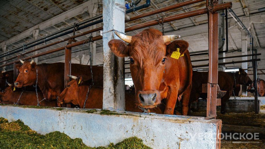 123 ����� ��� ������ ������������� ������� ��� ���������� � ���������� �������