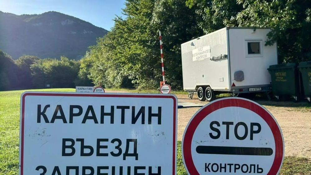 � ����������� ��������� ����������� � ����������� �����: ��� ����������