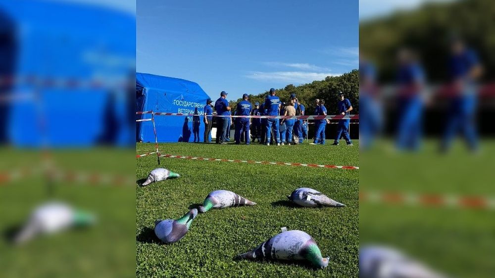 ������ ����� � �������� �������: � ����������� ������ ������ ������������ ������