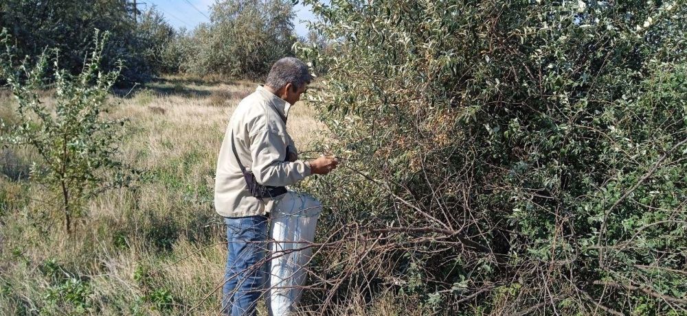 ������������ ����������� ������������� ������ ���� ������������