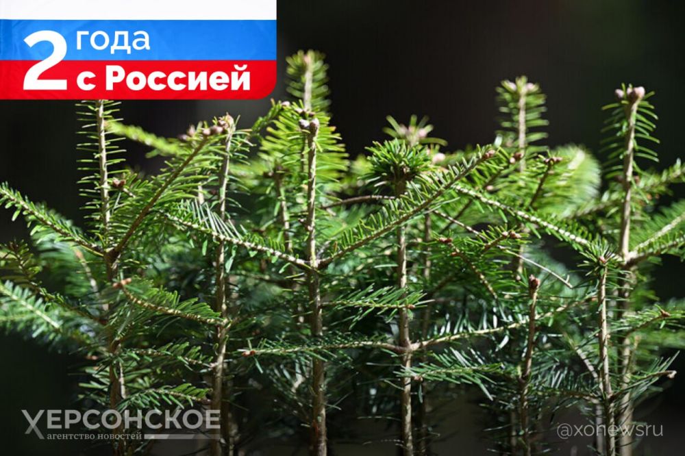 �� 2 ���� � �������� � ���������� �������� ����� 1,6 ���