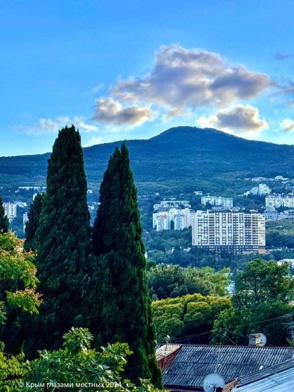 ������ ���� �� ��������� ������� ����� - ����