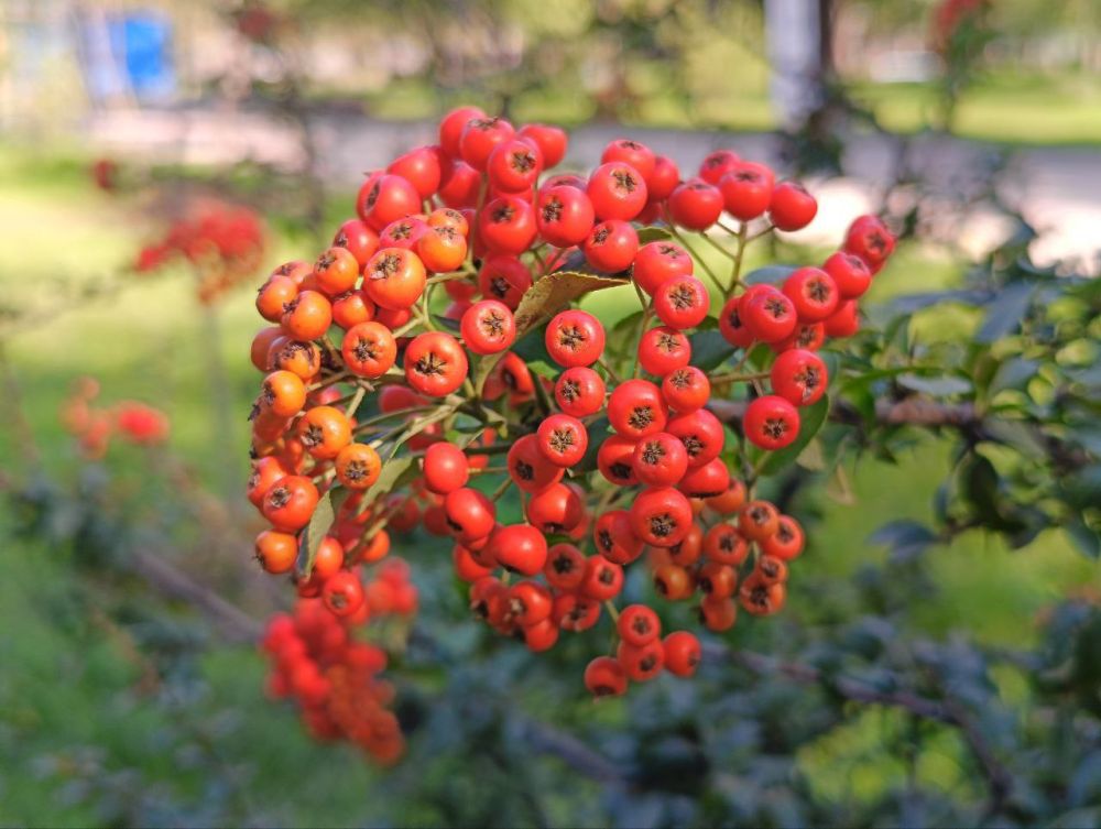 � ������ �����, �����������!