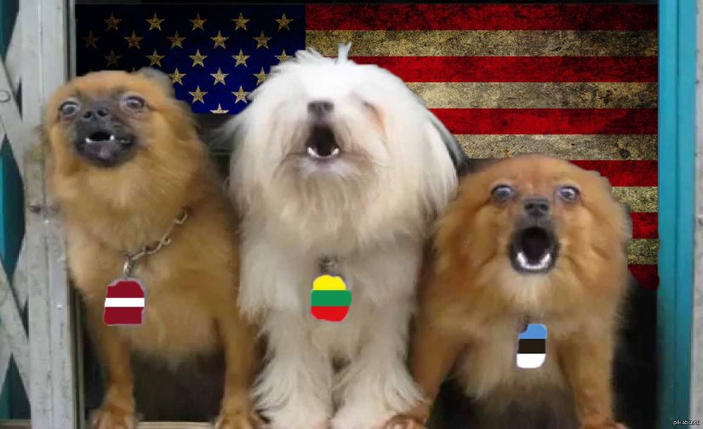 �������, ����� � ������ ����� ����� ������� � �� ������ �� ���������� ������ � �� � ���������