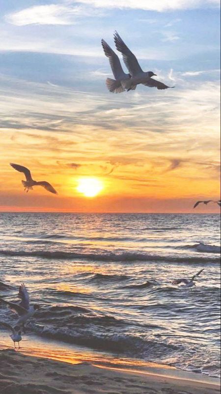 ����� ����������: ������ ����� ���������� ����, ������� ���������� � ����������� ������, ������� ��� ���� �������� � ����������