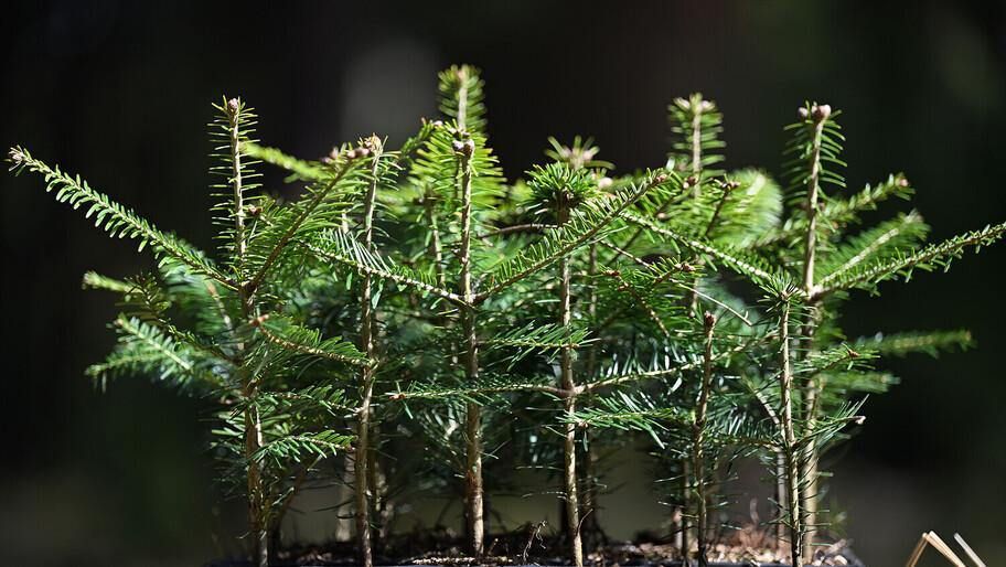 �� 2 ���� � �������� � ���������� �������� ����� 1,6 ���