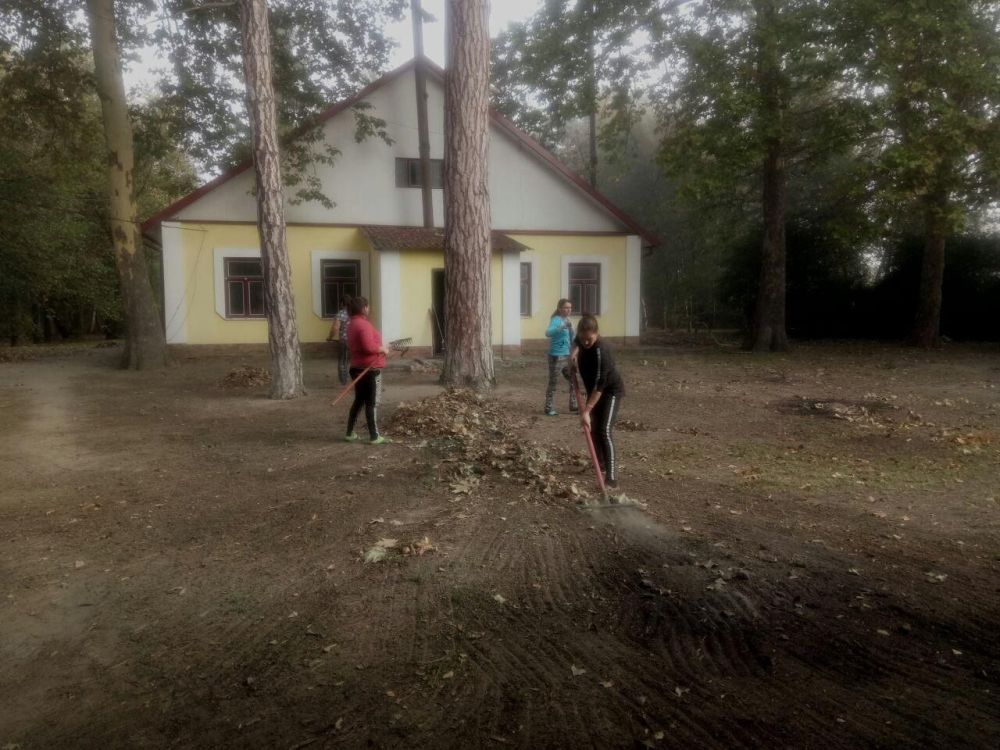 � ��������������� ����������� ������ ��������� � ��������� �������