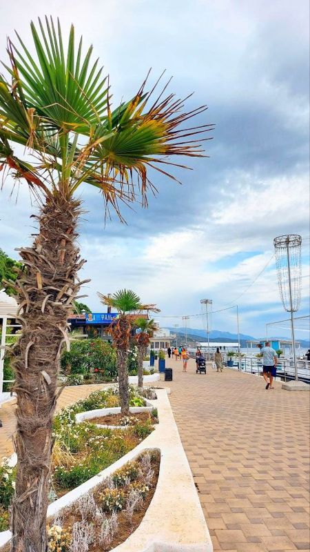 ������������� ������. ������