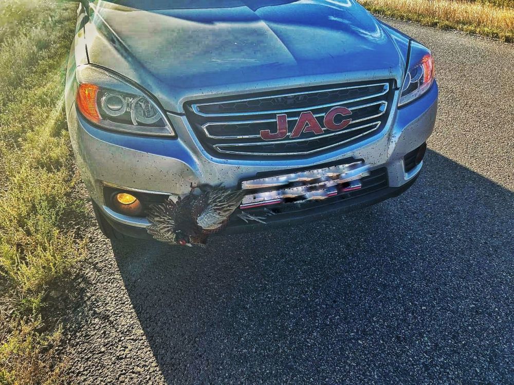 � ��, ������, ���������� �� ������� ����������! ������ ����� ���� ����-�� ������