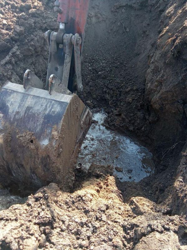 ���������� ���������� ��������� ������ �� ����� ������������� � ���� ���������.