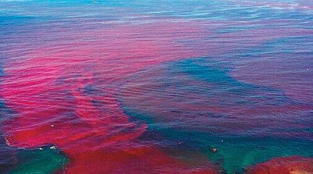 �������, �� ������������ ������ ��� ��������� �������� �������� � �������� ����? ��� ���, ����������� �������� ���������������� ��������� ��� ������� �������, ��� ��� ������� �����������